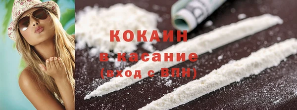 сатива Осташков
